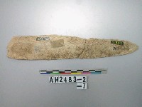 藏品(磨製石矛殘件)的圖片